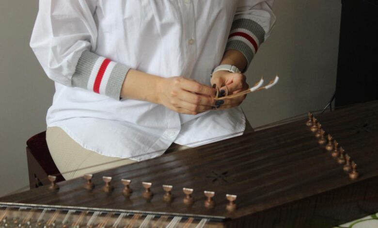 راهنمای خرید سنتور برای مبتدیها