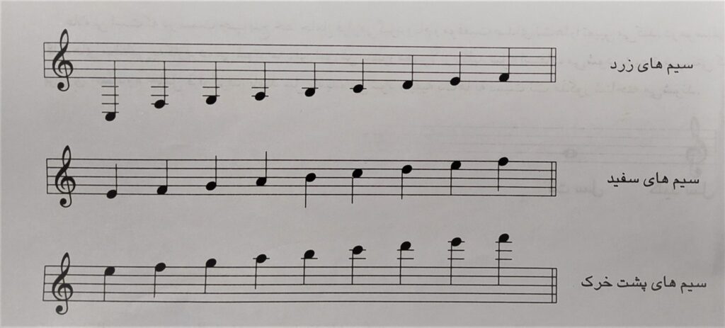 آموزش مجازی سنتور 